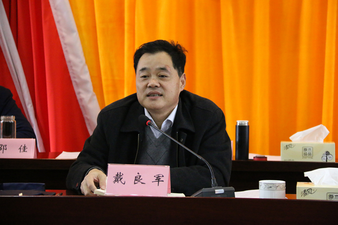 集團黨委委員、副總經理、總工程師戴良軍發表講話